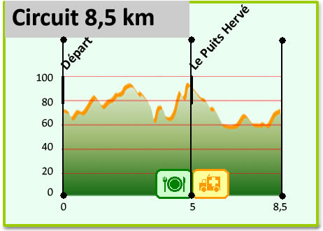 Plan d entrainement course à pied débutant 50 ans