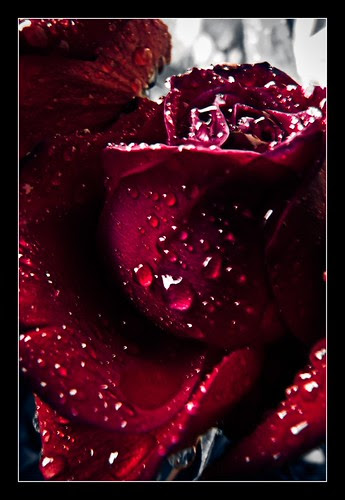 quotes about beauty and life.  with Beauty, Funny, funny quotes, Happiness, Health, Life, love, Random