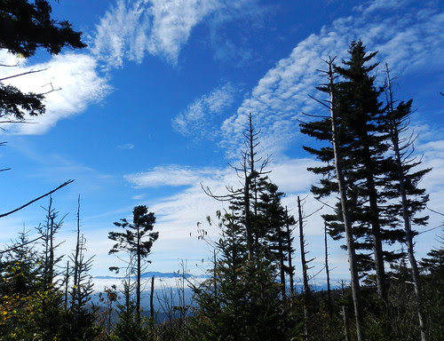 naturenotesDSCN3655