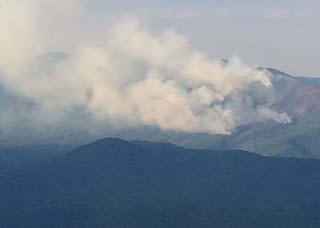 Update on Wildfires in Pisgah National Forest