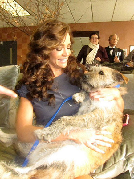 DENISE RICHARDS   photo | Denise Richards
