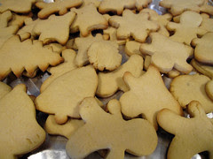 The Un-Frosted Cookies!
