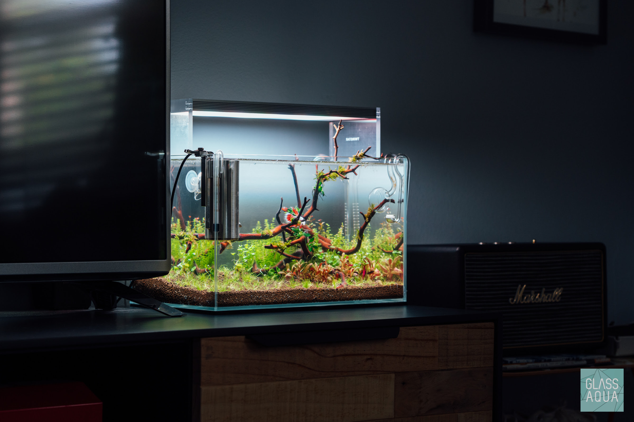 Planted Nano Betta Fish Tank - Glass Aqua