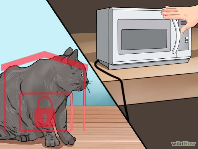 Keep Cats from Chewing on Electric Cords and Chargers Step 16.jpg