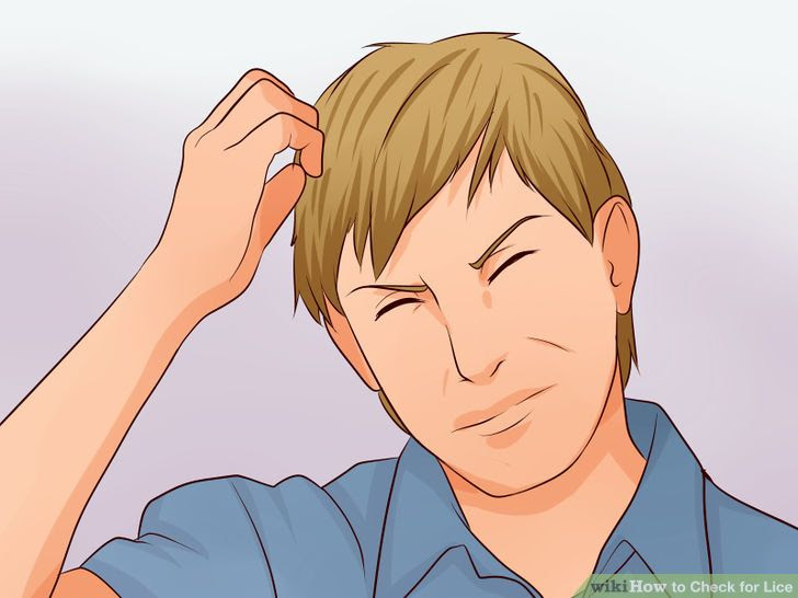 Check for Lice Step 1 Version 2.jpg