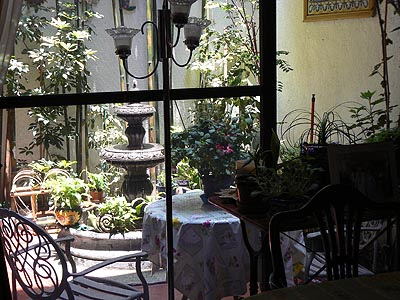 patio vu de dedans.jpg