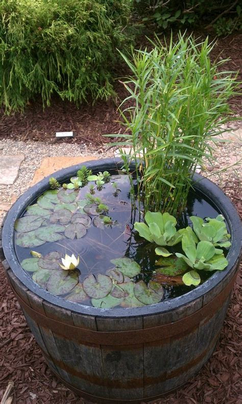 A molinillo stirs steaming hot . Amazing Ideas Of How To Make Mini Ponds In Pots