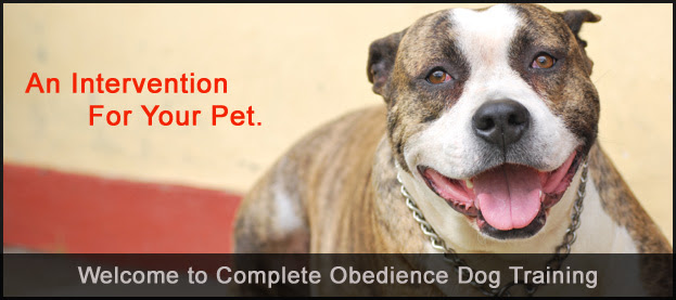Complete Obedience Dog Training An obedient dog is a happy dog!