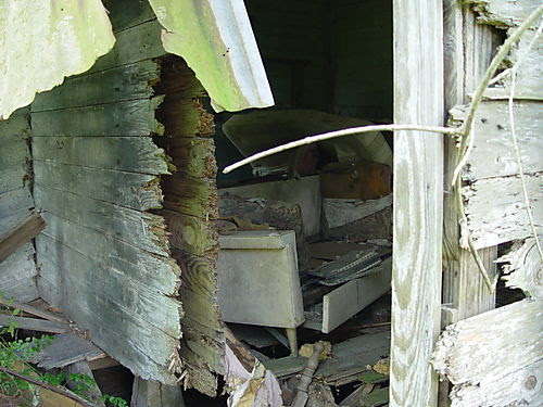 DSC03447