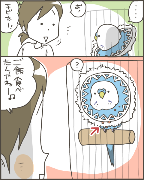 ご飯をつけている姿が可愛いセキセイインコ マルといっしょ Powered By ライブドアブログ