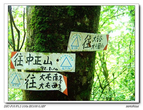 nEO_IMG_DSC00597
