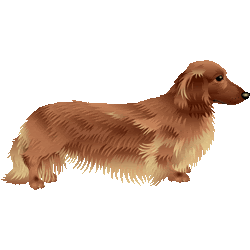 スマホ対応 ミニチュア ダックスフンド No 112 ミニチュア ダックスフントのイラスト アイコン 条件付フリー素材集