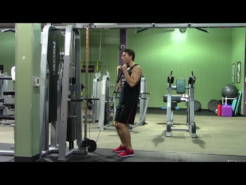 Beginner Arms Workout in the Gym - HASfit Easy Arm ...