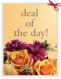 Flowers In Washington Dc Minnesota Florist