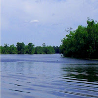 Waccamaw River