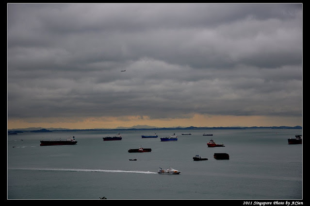 DSC_0875
