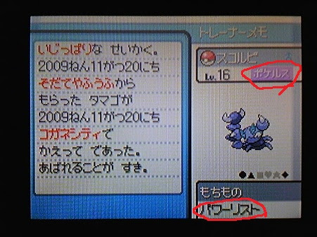 ポケットモンスター ダイヤモンド パール プラチナ ハートゴールド ソウルシルバー