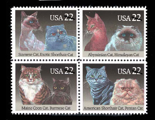jc cat stamp