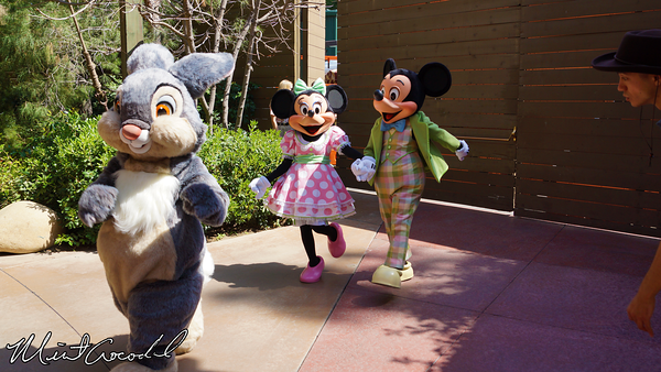 Disneyland Resort, Disneyland, Spring, Springtime Roundup, Easter
