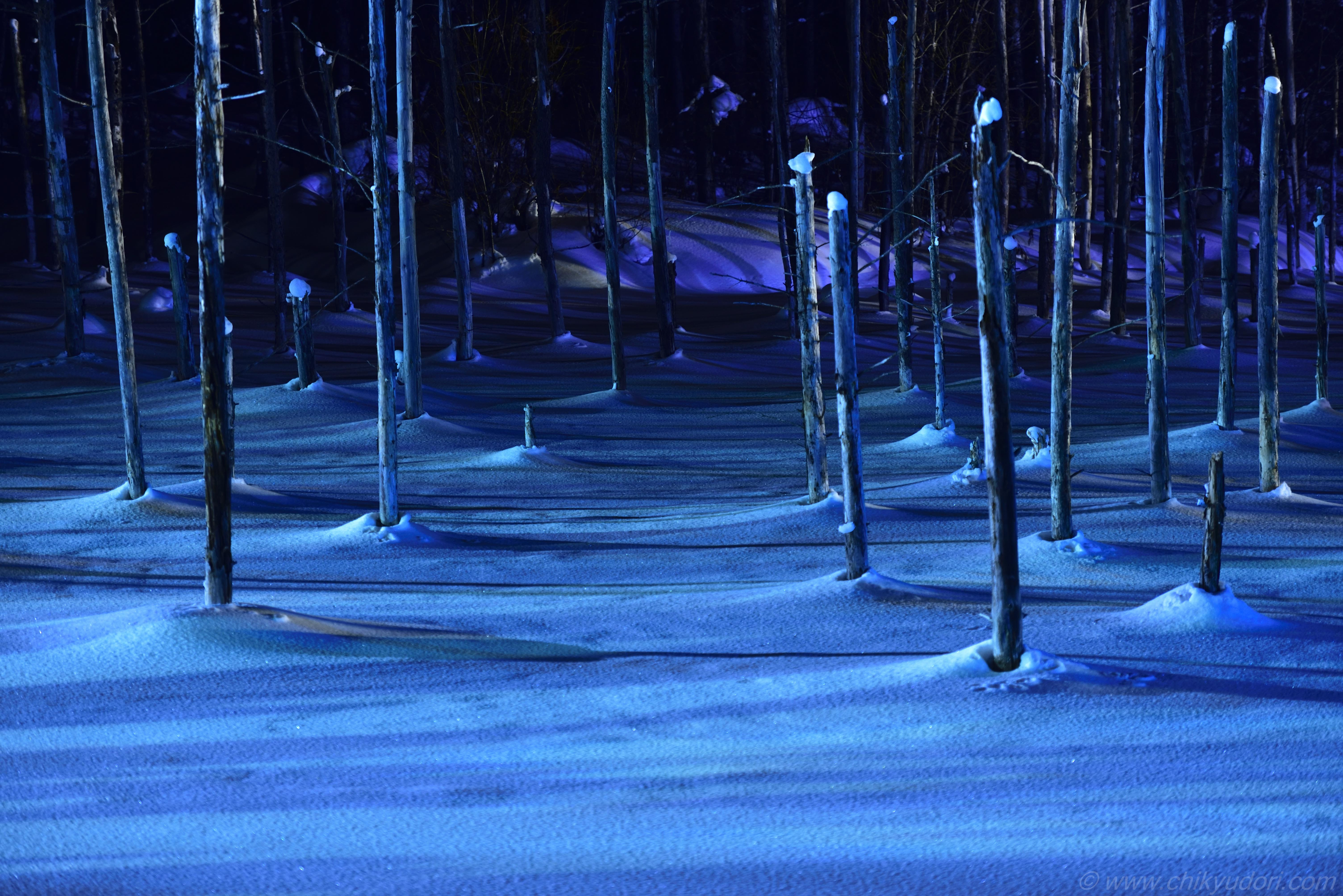 美瑛町の青い池 地球の撮り方