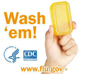 Wash your hands with soap and clean running water. Visit www.flu.gov for more information.
