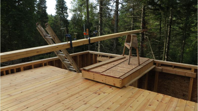 Ridge Beam size for 16x20 cabin?? - Small Cabin Forum