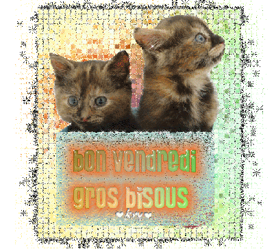 Chatons...