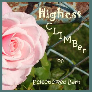 Eclectic Red Barn