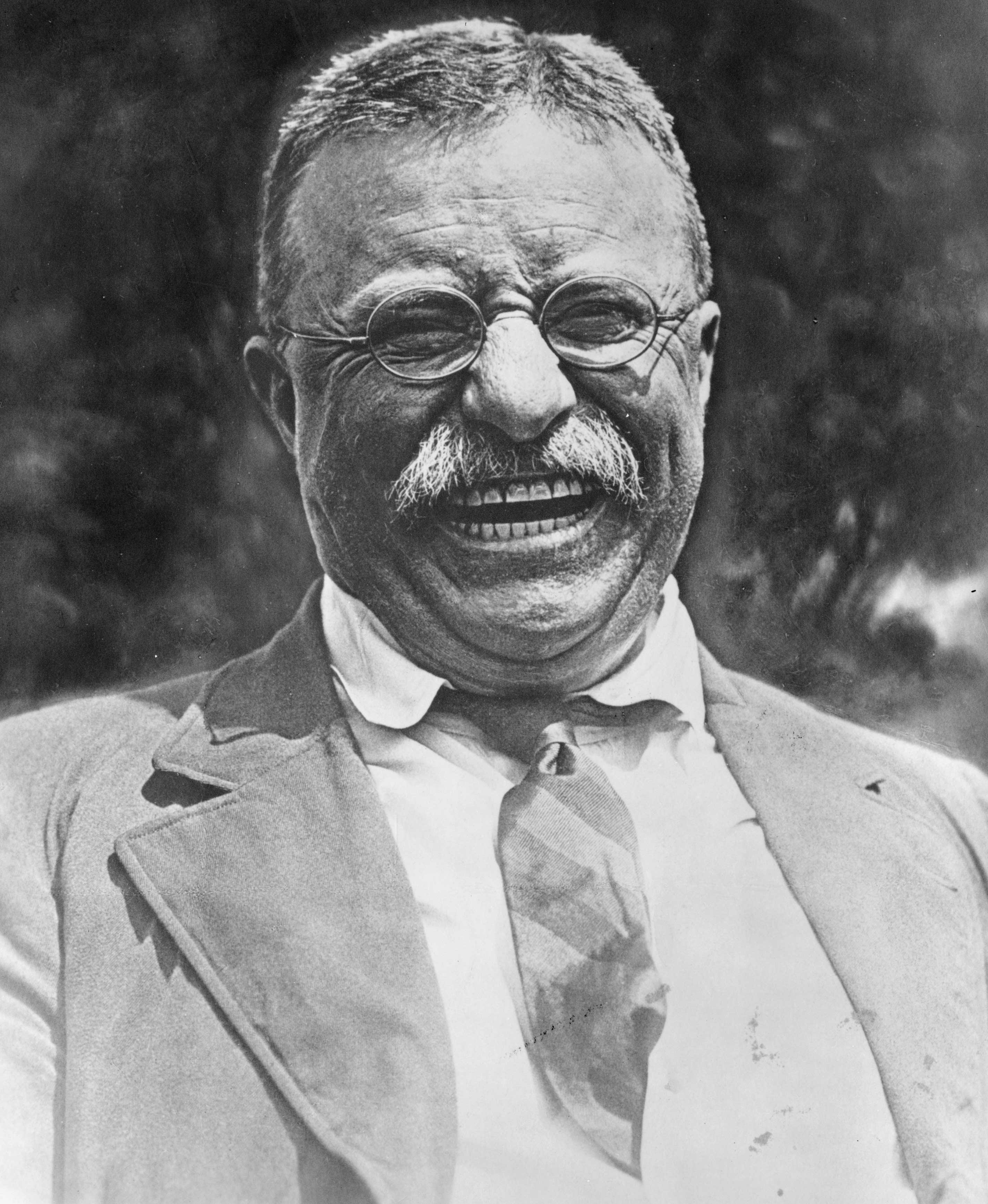 teddyroosevelt.jpg (2849×3474)