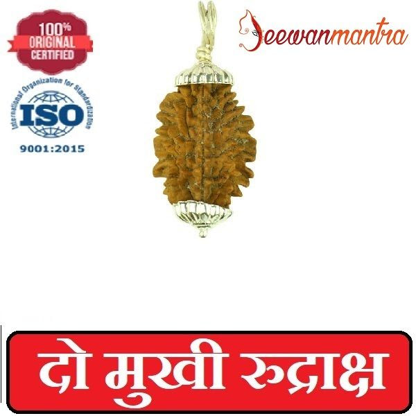 pics Rudraksha Benefits In Hindi jeewan mantra