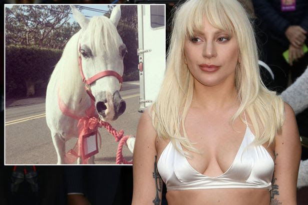 Lady Gaga