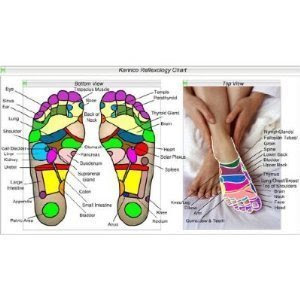 Detoxifying Body Pain Relief Healing Foot Pads - 14 Pads and Patches