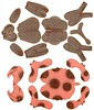 Copie de anidomartic 4