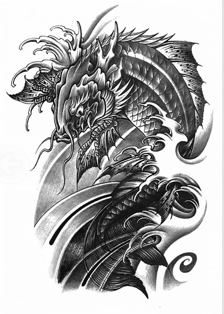 17+ Foto Tato Ikan, Keren Abis!