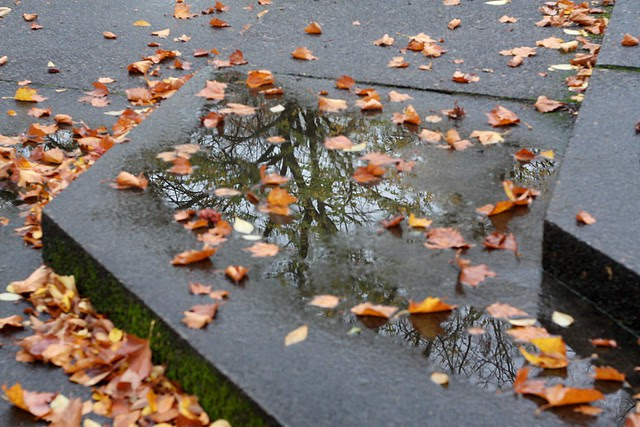 autumn 2009