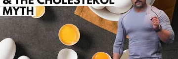 Egg Contains Free Download Audio Mp3 and Mp4