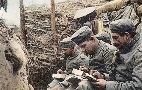 Free Download All Quiet on the Western Front: A Novel Printed Access Code PDF