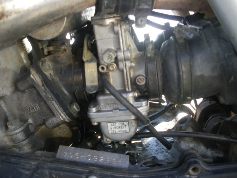 97 Honda 300ex. i had honda 300ex before