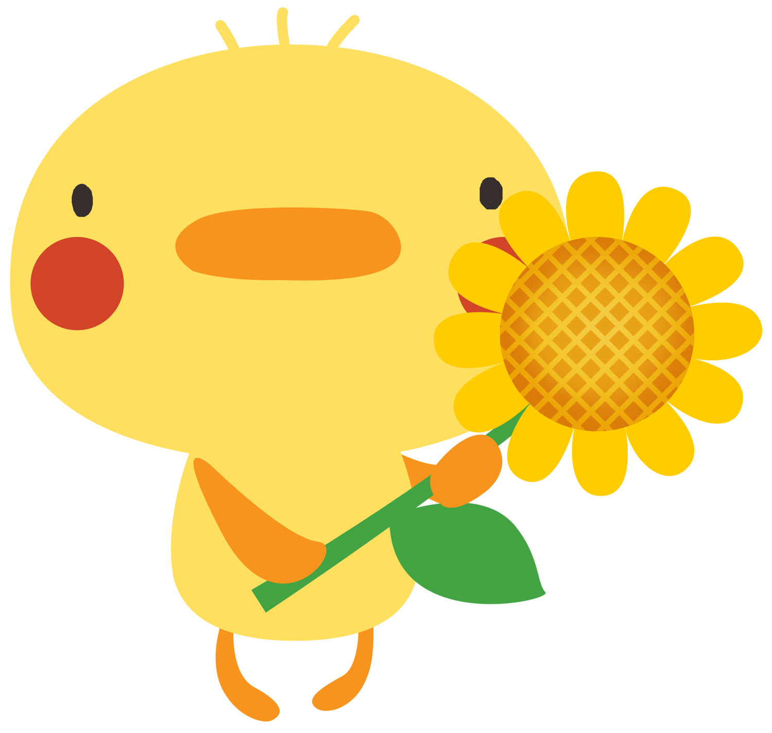 高解像度ひよこイラスト素材 Mococo Print