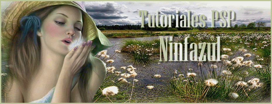 Tutoriales PSP Ninfazul