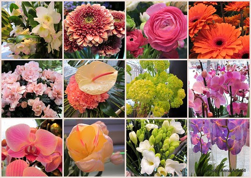 Kukkakaupassa  - Flower shop