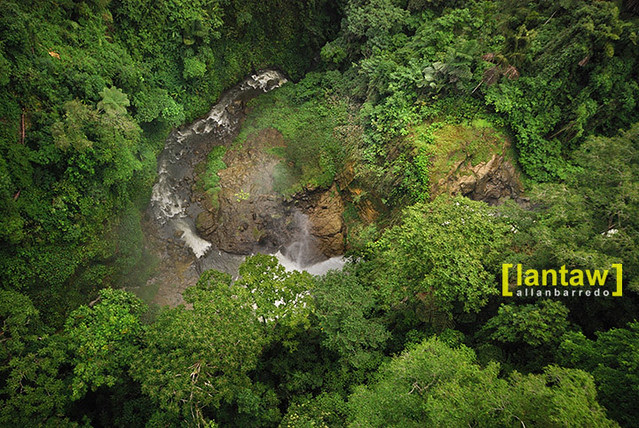 Above the rivers and the trees