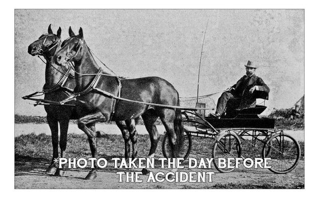 TRAGEDY STRIKES: It’s the 1920s and your great grandfather, Alonzo Hammermeister, was just run over and killed by a horse and buggy. You go to collect your inheritance and learn that you’re entitled to a whopping $5.