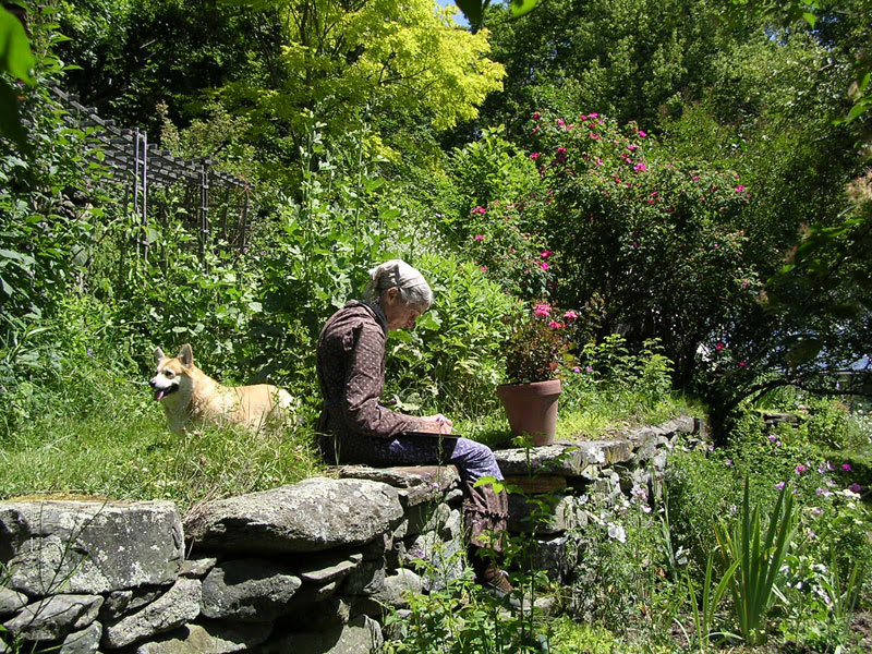 ターシャ テューダー 静かな水の物語 映画のチケット ローチケ ローソンチケット