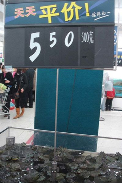 Stuff You Will Only See in a Chinese Walmart