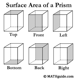 Surface Area