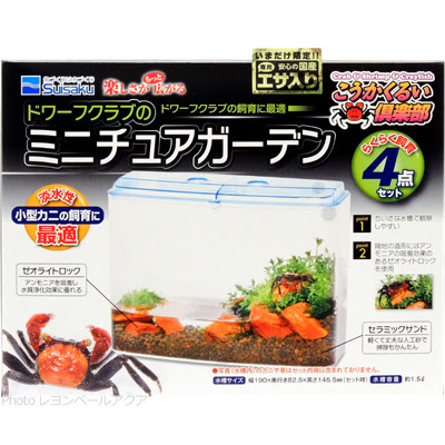 水作 こうかくるい倶楽部 ドワーフクラブのミニチュアガーデン 4点セット レヨンベールアクア