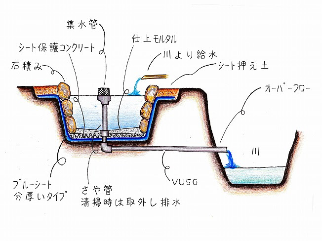 メダカ池作り 森あそび奮闘記