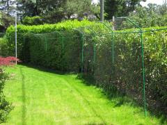 Clotures De Protection Pour Chats A Installer Dans Votre Jardin Grillage Pour Chats Securitechats Ch