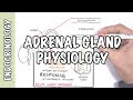 Endocrinology - Adrenal Gland Hormones(Aud. Tewfiq Siliman Herini… Erbil-Kurdistan tewfiqsiliman@yahoo.com... 009647504485973)